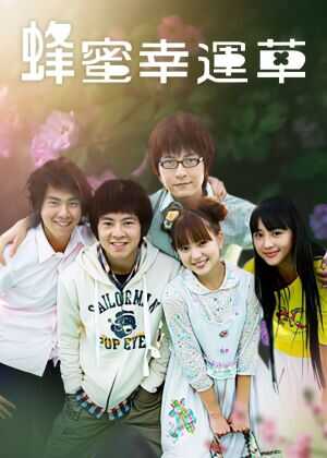 蜂蜜幸运草海报