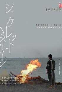 秘-蜜月海报