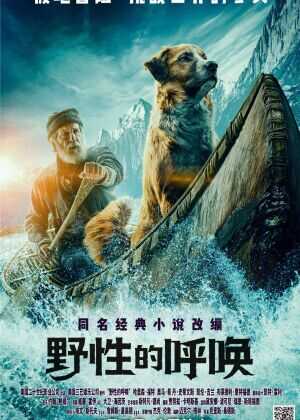 野性的呼唤海报