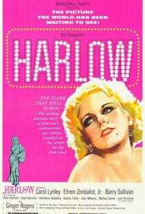 珍哈露情史海报