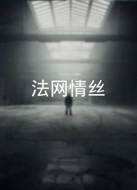法网情丝海报
