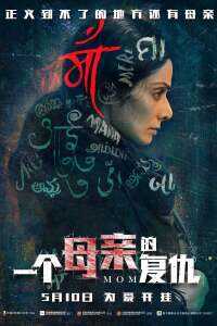 一个母亲的复仇海报