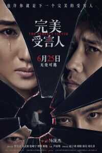完美受害人海报