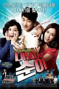 疯狂的钻石海报