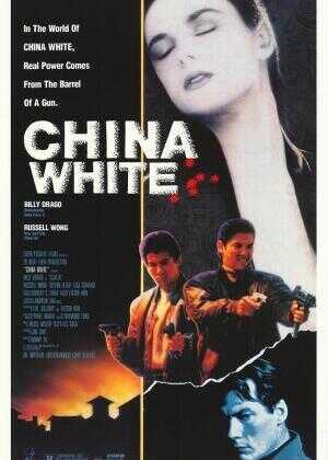 轰天龙虎会海报