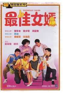 最佳女婿海报