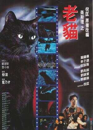 卫斯理之老猫海报
