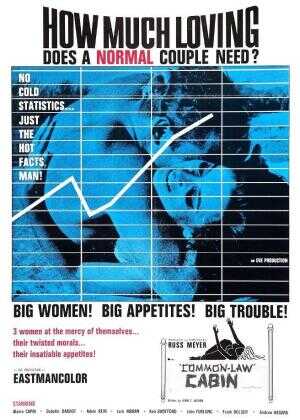 一对普通夫妇的爱海报