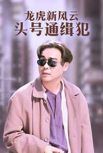 龙虎新风云海报