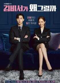 金秘书为何那样海报