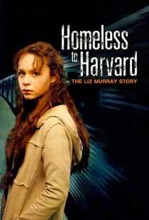 风雨哈佛路海报