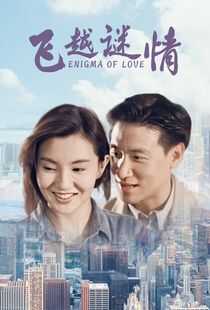 飞越谜情海报