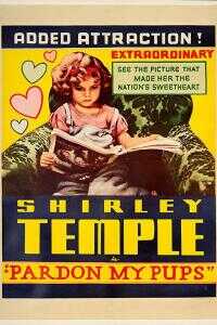 我的小狗斯齐普