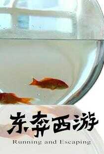 11度<a href=/tag/43-0.html target=_blank class=infotextkey>青春</a>之《东奔西游》