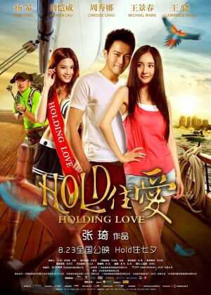 HOLD住爱海报