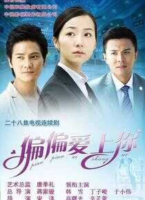 偏偏爱上你海报