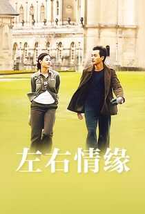 左右情缘海报