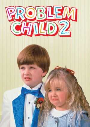 天才小捣蛋2海报