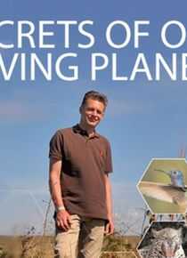 我们星球的秘密海报