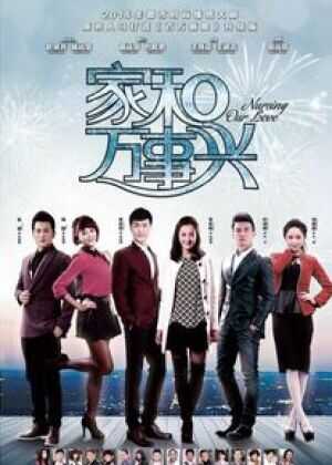 家和万事兴海报