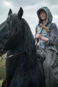 朱迪与潘趣海报