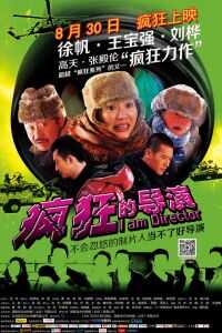 疯狂的导演海报