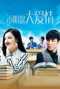 小阴谋大爱情海报