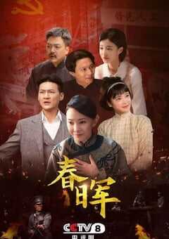 春晖电视剧海报