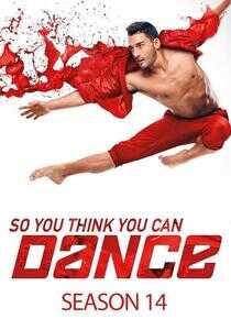 舞魅天下 第十四季海报