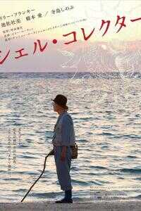 贝壳收藏家海报