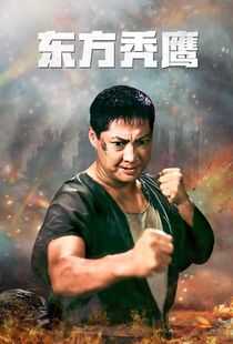 东方秃鹰海报