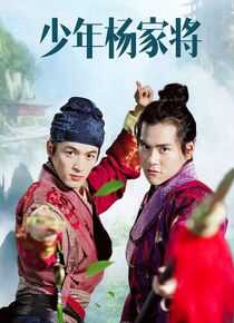 少年杨家将海报