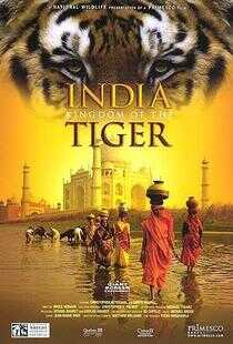 印度：老虎王国海报