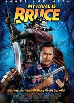 我叫布鲁斯海报