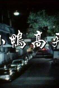 香港香港之小鸭高飞海报