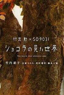巧克力眼中的世界海报