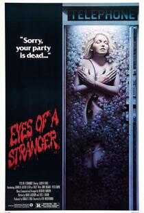 他在窥着你海报