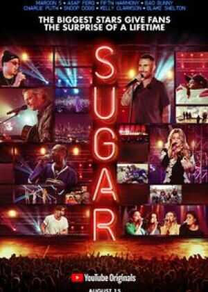 偶像的惊喜 第一季