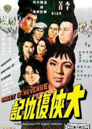 大侠复仇记海报