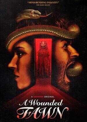 受伤的小鹿海报