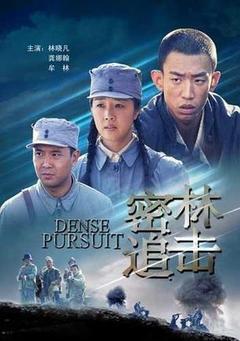 密林追击海报