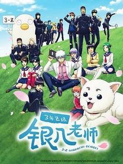 3年Z组银八老师
