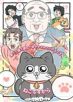 转生成猫的大叔海报
