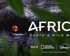 Africa Earth's Wild Home海报