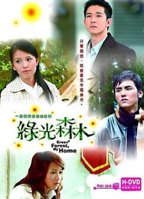 绿光森林海报