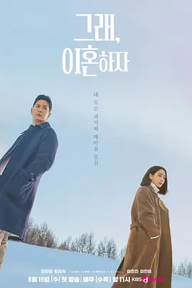 好,我们离婚吧海报