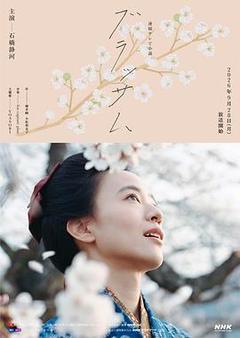 花朵盛开海报