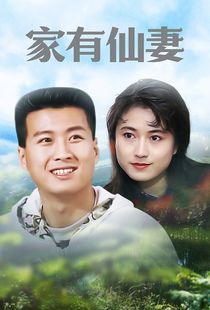 家有仙妻海报