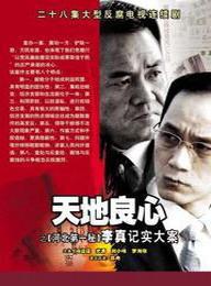 天地良心之李真大案海报