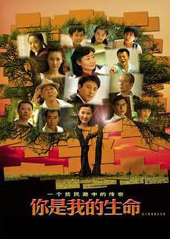 你是我的生命海报